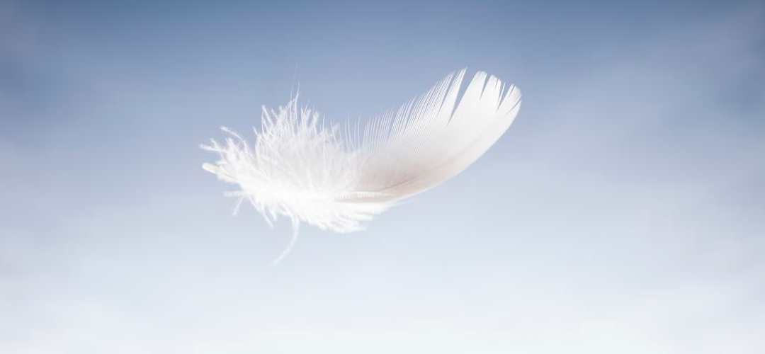 Learning to let go: Lighter with decommissioning and archiving